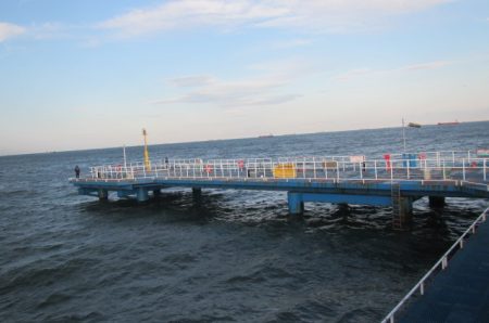 オリジナルメーカー海づり公園(市原市海づり施設) 釣果