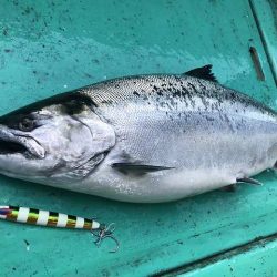 広進丸 釣果