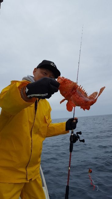 海峰 釣果