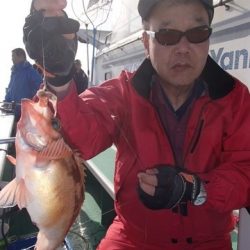 第二むつ漁丸 釣果