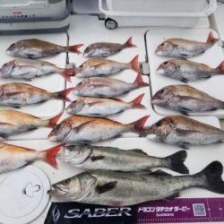 暁〜akatsuki〜 釣果