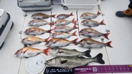 暁〜akatsuki〜 釣果