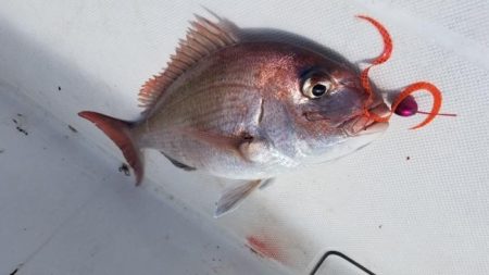 暁〜akatsuki〜 釣果