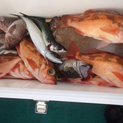 第二むつ漁丸 釣果