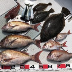 ふじしめ丸 釣果