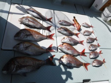 遊漁船 幸友丸 釣果