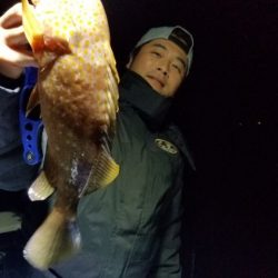 Magic（マジック） 釣果