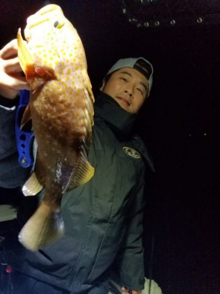 Magic（マジック） 釣果