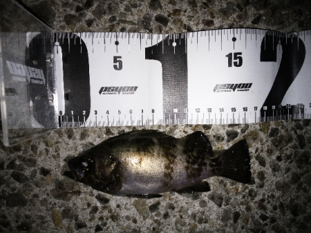 アタリはあるものの…