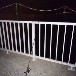 アタリはあるものの…