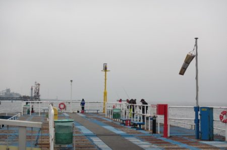 オリジナルメーカー海づり公園(市原市海づり施設) 釣果