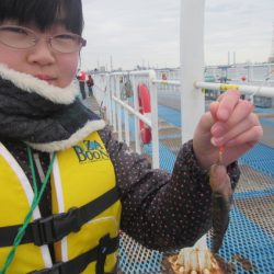 オリジナルメーカー海づり公園(市原市海づり施設) 釣果