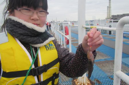 オリジナルメーカー海づり公園(市原市海づり施設) 釣果