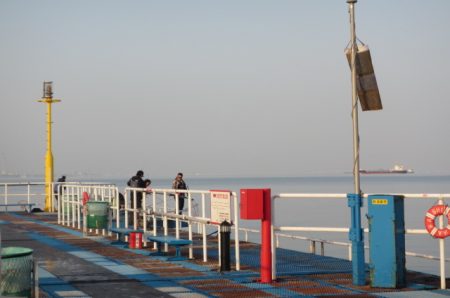 オリジナルメーカー海づり公園(市原市海づり施設) 釣果