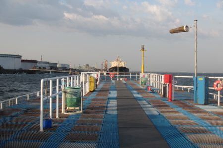 オリジナルメーカー海づり公園(市原市海づり施設) 釣果