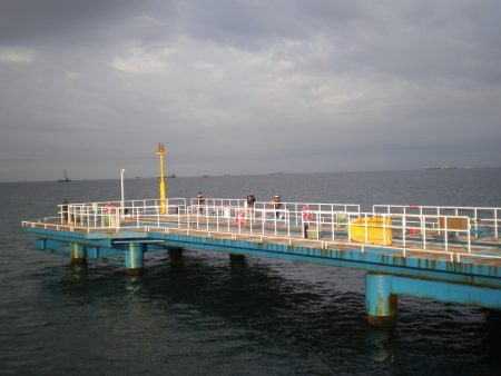 オリジナルメーカー海づり公園(市原市海づり施設) 釣果