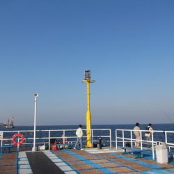 オリジナルメーカー海づり公園(市原市海づり施設) 釣果