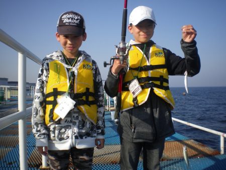 オリジナルメーカー海づり公園(市原市海づり施設) 釣果