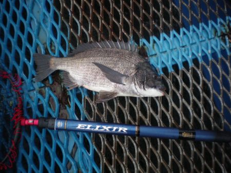 オリジナルメーカー海づり公園(市原市海づり…