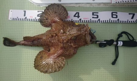 気仙沼　つり丸 釣果