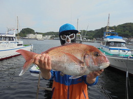 政信丸 釣果