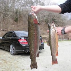 高萩ふれあいの里フィッシングエリア 釣果