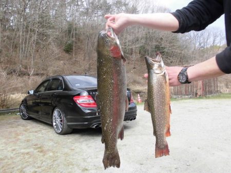 高萩ふれあいの里フィッシングエリア 釣果