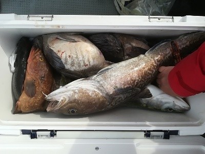 IDATEN(イダテン) 釣果