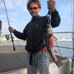 シーマジカル 釣果