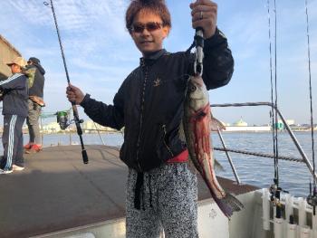 シーマジカル 釣果