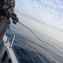 遊漁船ブルーウッズ 釣果