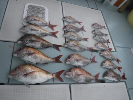 遊漁船 幸友丸 釣果