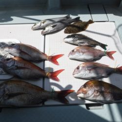 遊漁船 幸友丸 釣果