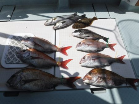 遊漁船 幸友丸 釣果