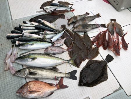 ふじしめ丸 釣果