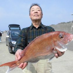 大進丸(新潟) 釣果