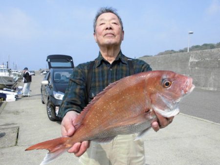 大進丸(新潟) 釣果