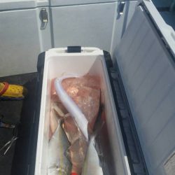 第五慶門丸 釣果