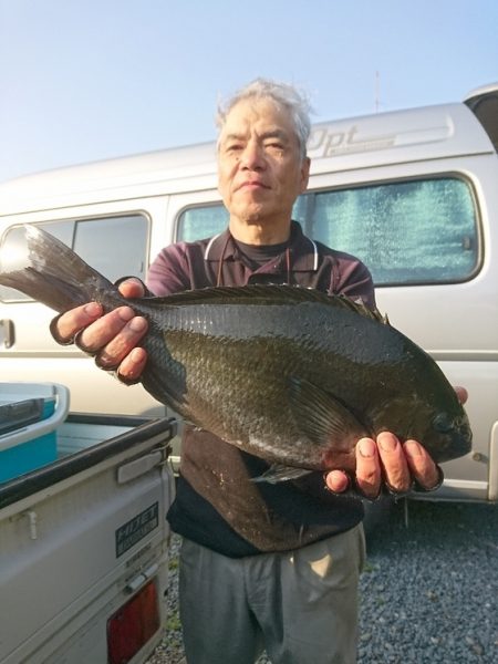 千津丸 釣果