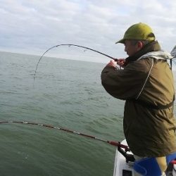 IDATEN（イダテン） 釣果