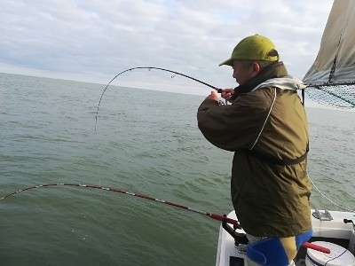 IDATEN（イダテン） 釣果