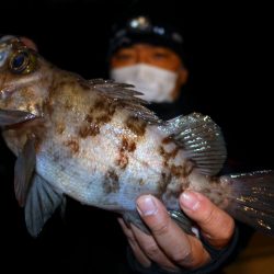 TOPGUN名古屋 釣果