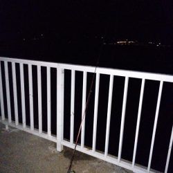 メバルはご機嫌ななめ