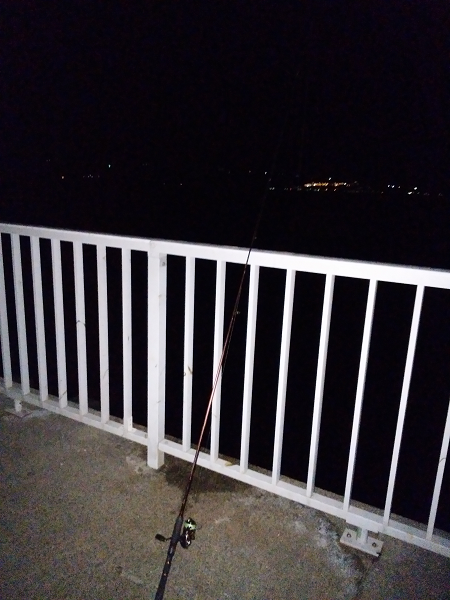 メバルはご機嫌ななめ