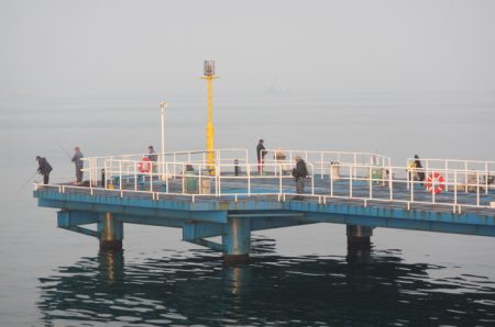 オリジナルメーカー海づり公園(市原市海づり施設) 釣果