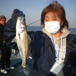 オリジナルメーカー海づり公園(市原市海づり施設) 釣果