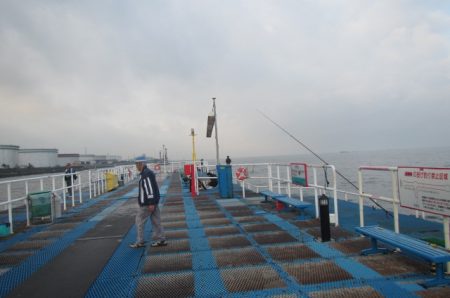 オリジナルメーカー海づり公園(市原市海づり施設) 釣果