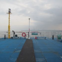 オリジナルメーカー海づり公園(市原市海づり施設) 釣果