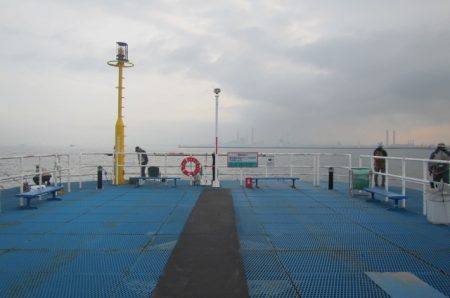 オリジナルメーカー海づり公園(市原市海づり施設) 釣果