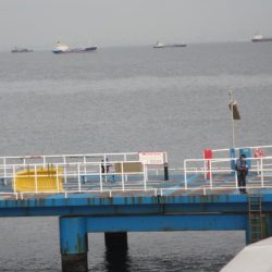 オリジナルメーカー海づり公園(市原市海づり施設) 釣果